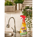 Triumf Bucatarie, Farmec - Delumani - Magazin Online Romanesc