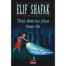 Fetita careia nu-i placea numele sau - Elif Shafak - Delumani - Magazin Online Romanesc 